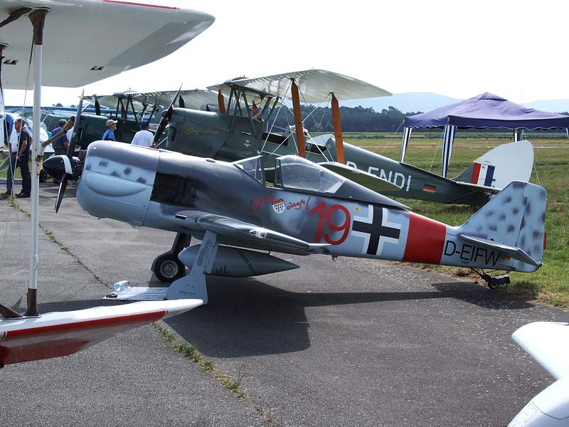 Focke_Wulff_190_mini_a.jpg