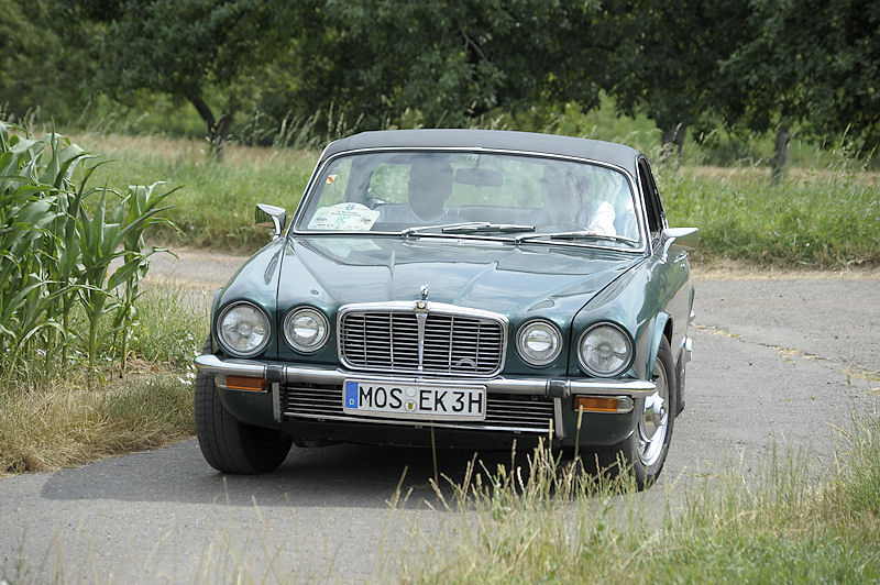 Jaguar_192fc.jpg
